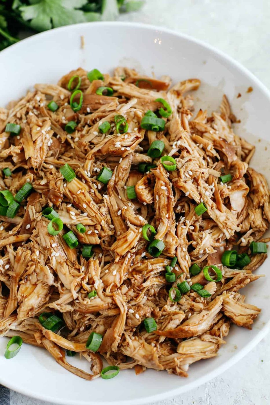Pot Crock Teriyaki Chicken