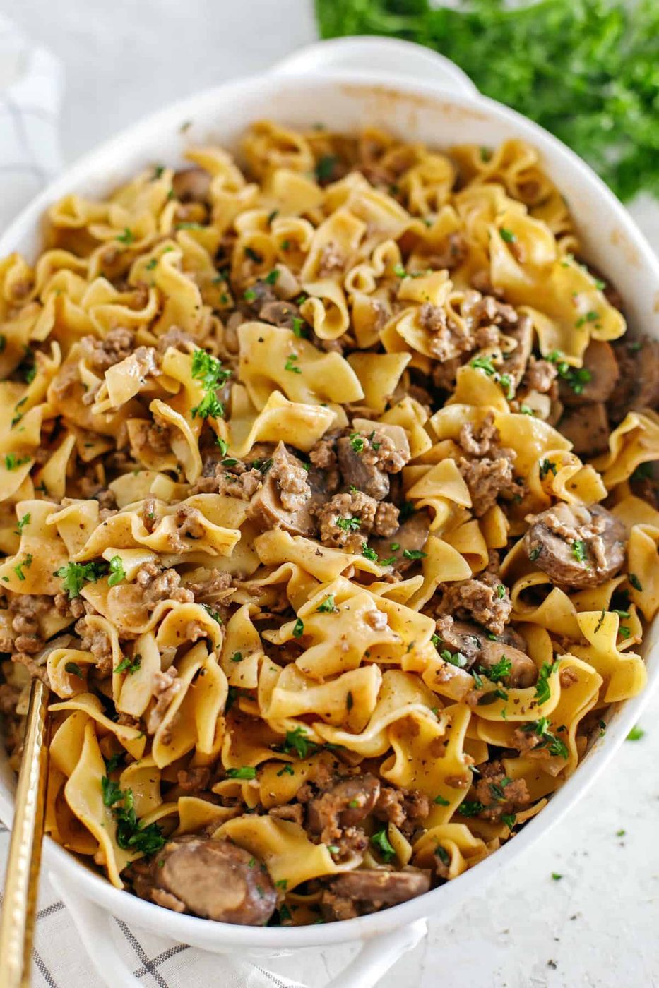 Beef Stroganoff Casserole