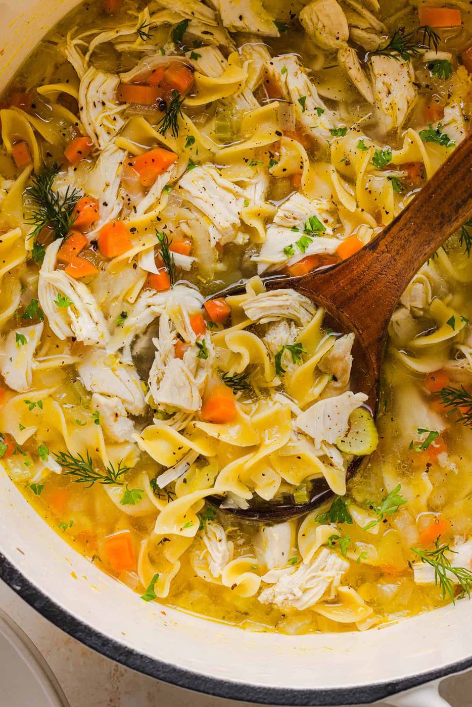 Chicken Noodle Soup