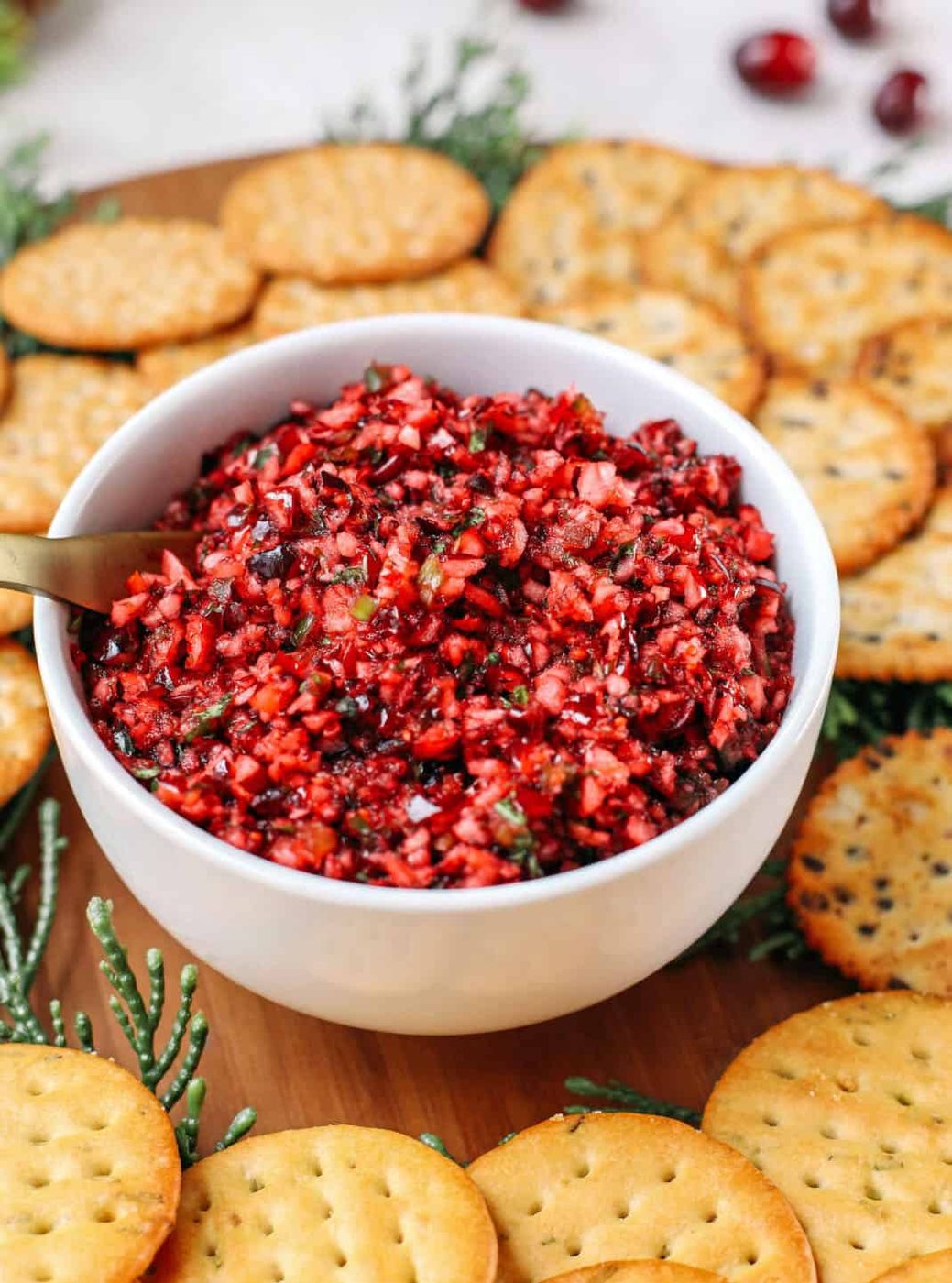 Cranberry Holiday Salsa
