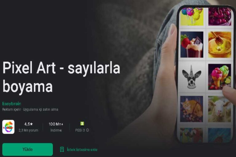 pixel art oyunu - harika bir eğitsel oyun