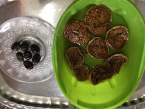 7 Zeytin 1 İncir Kürü ve Zayıflamaya Etkisi