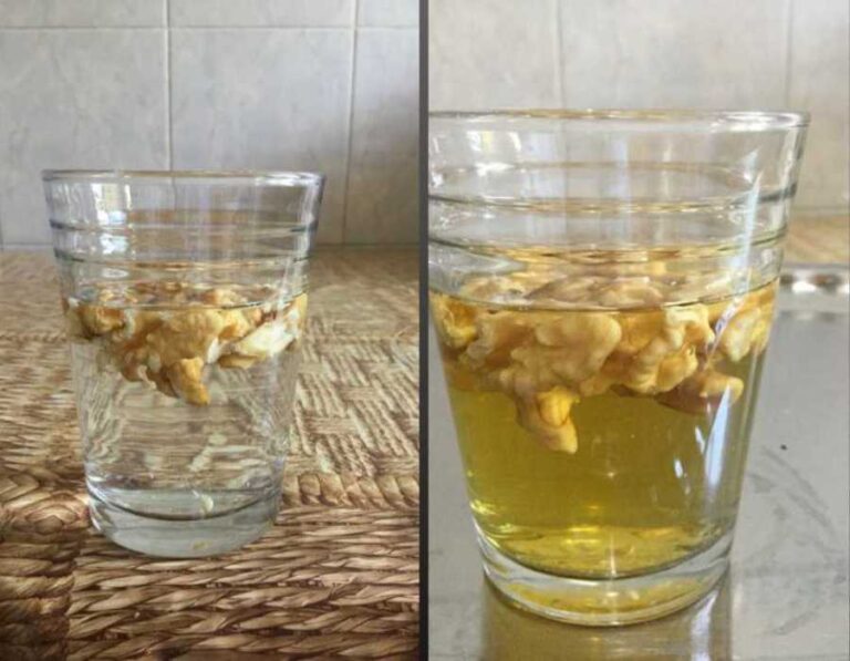 ceviz suyunun faydaları, tüketim şekli ve i̇çenlerin yorumları