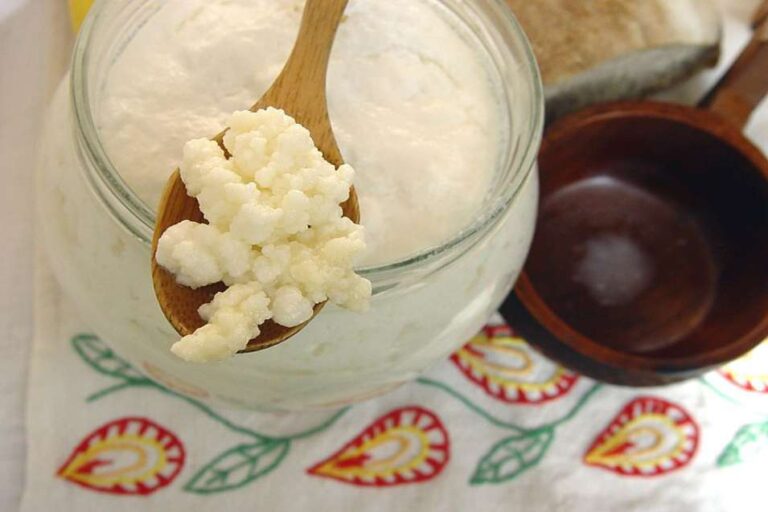 Evde Kefir Yapımı Tüketimi ve Kefirin Faydaları Duo Diyet