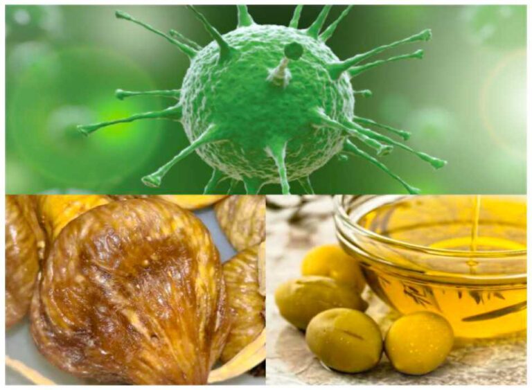 bağışıklığı güçlendiren besinler