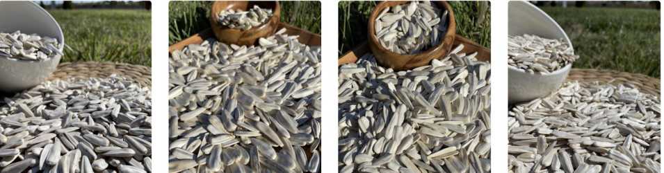 denizli ayçekirdeğini dünyaya ulaştıran i̇sim bayçelik! 2 denizli ayçekirdeğini dünyaya ulaştıran i̇sim bayçelik!