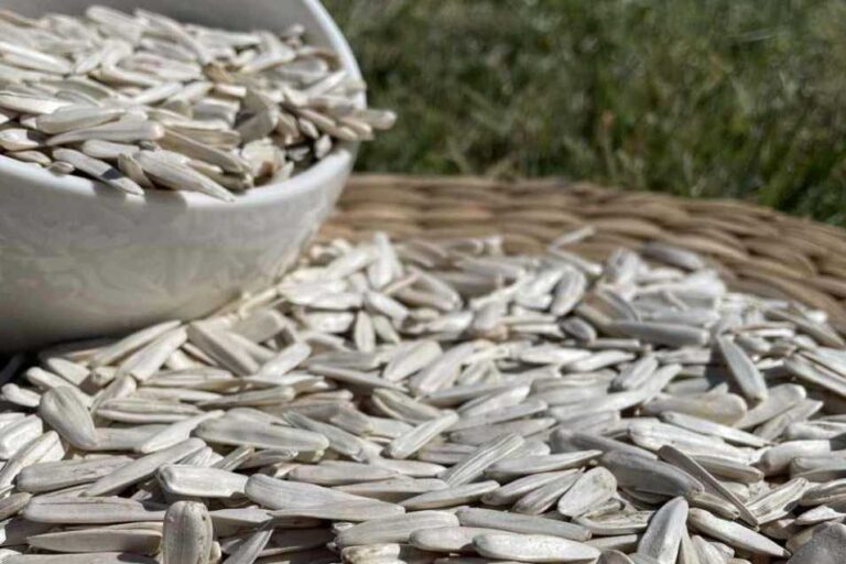 denizli ayçekirdeğini dünyaya ulaştıran i̇sim bayçelik!