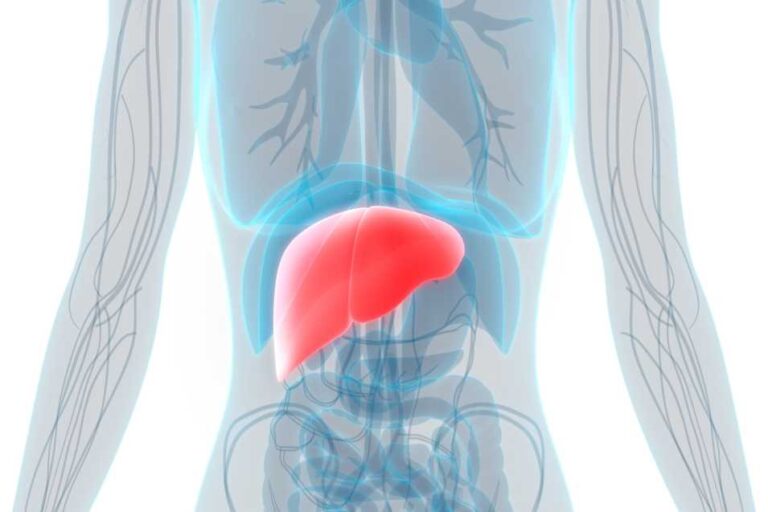 karaciğer yağlanması diyet listesi