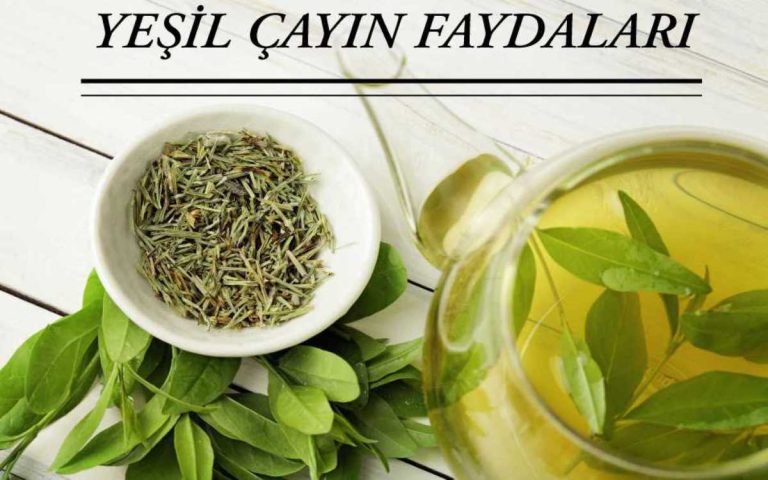 yeşil çayın faydaları ve diyette kullanımı