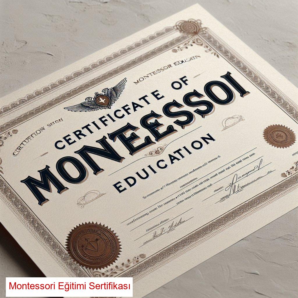 Montessori Eğitimi Nedir? Eğitim Materyalleri ve Uygulaması