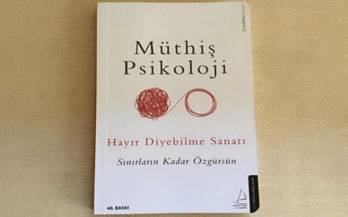 Hayır Diyebilme Sanatı Kitabı Nasıl Bir Kitap?