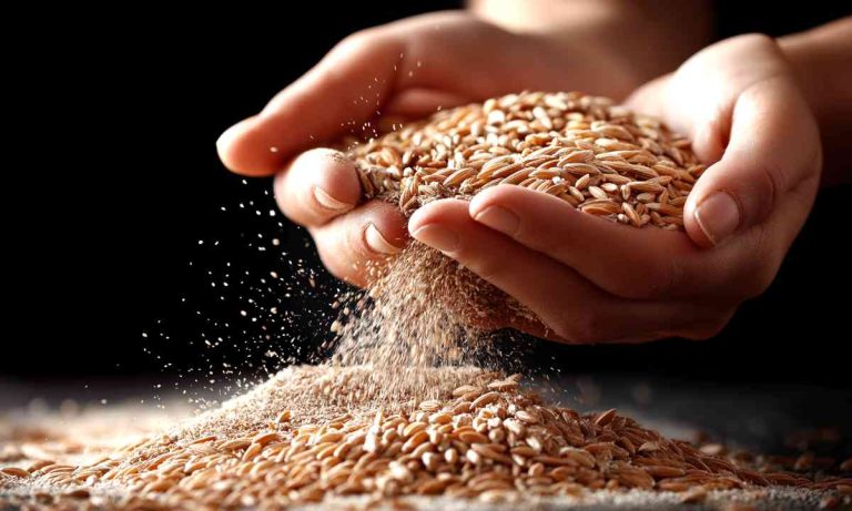 keten tohumu ile zayıflama kürü