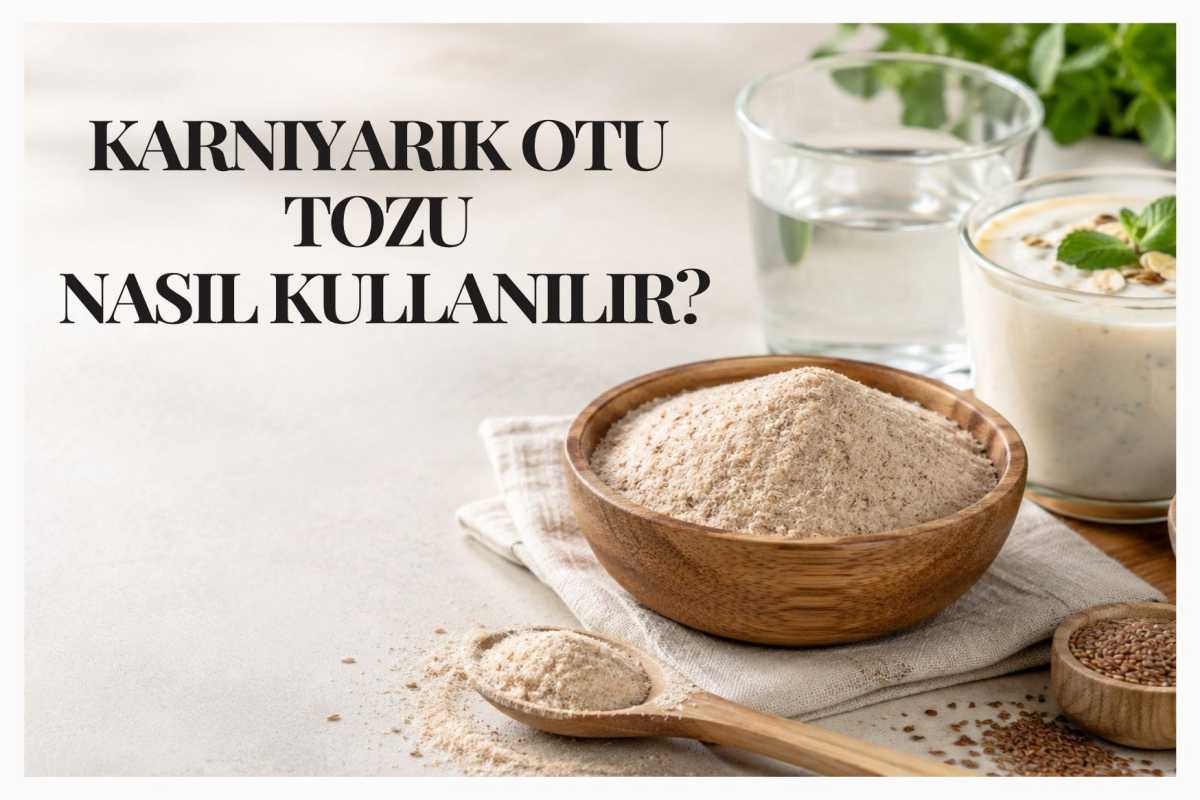 Karnıyarık Otu Tozu Nedir? Faydaları, Kullanımı ve Diyetteki Yeri