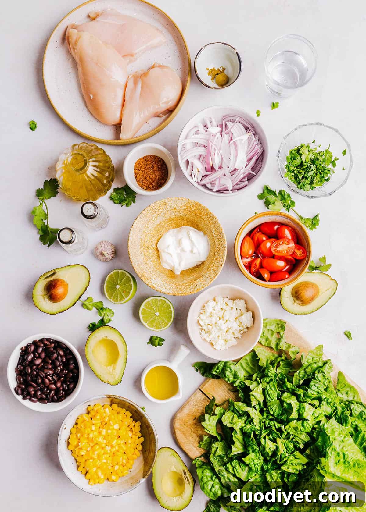 Southwest Chicken Salad with Creamy Avocado Dressing Recipe 3 The BEST Southwest Chicken Salad with Creamy Avocado Dressing! Made with colorful veggies, marinated grilled chicken, black beans, corn, crumbled cotija cheese and tossed with the most delicious avocado cilantro dressing!