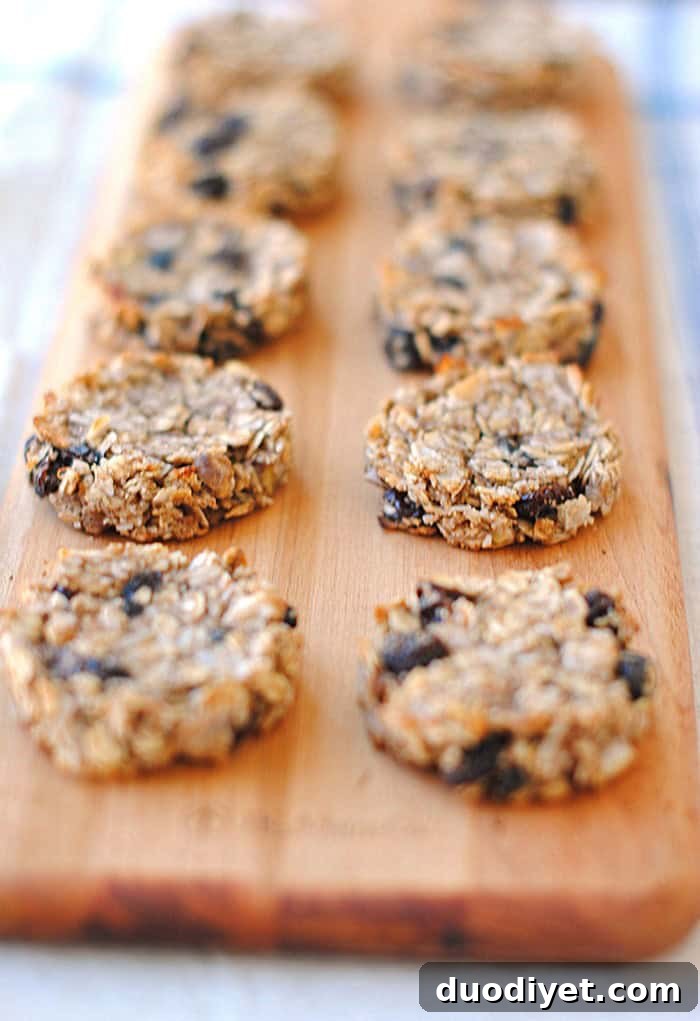 Light and Chewy Oatmeal Raisin Cookie Recipe 3 Close-up of a single oatmeal raisin cookie