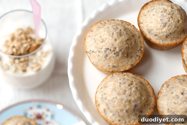 chia muffins 1