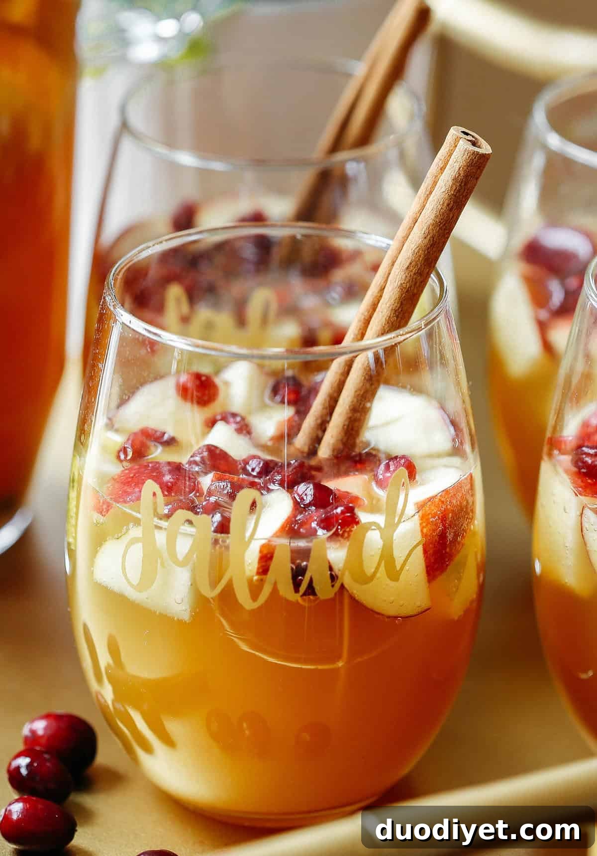Autumn Harvest Sangria Recipe with Apples, Pears and Cinnamon 2 Fall Harvest Sangria in a pitcher with fruit and cinnamon sticks