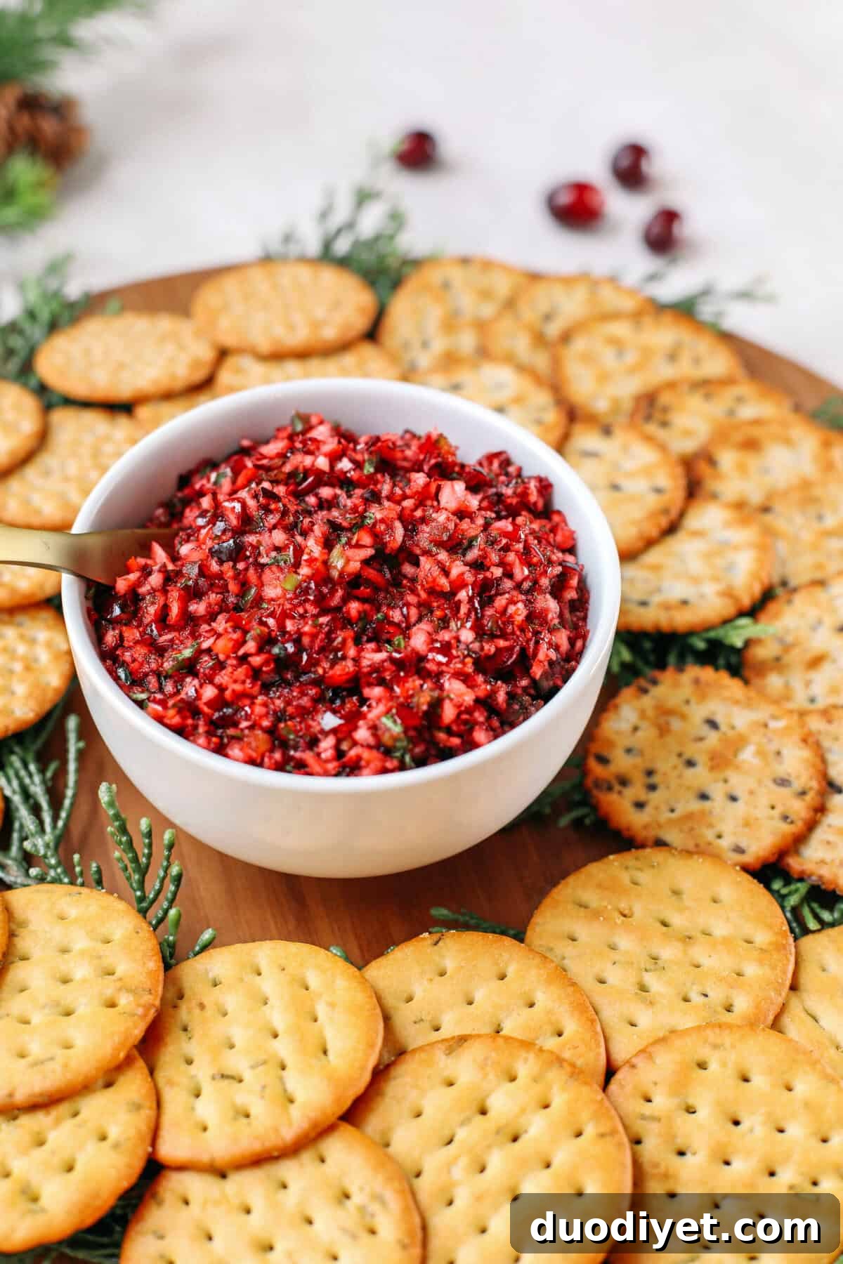 Holiday Cranberry Salsa Recipe for Parties and Appetizers 3 This sweet and spicy Cranberry Salsa makes the perfect holiday appetizer that is gluten-free, dairy-free, vegan and can be easily made in just minutes!