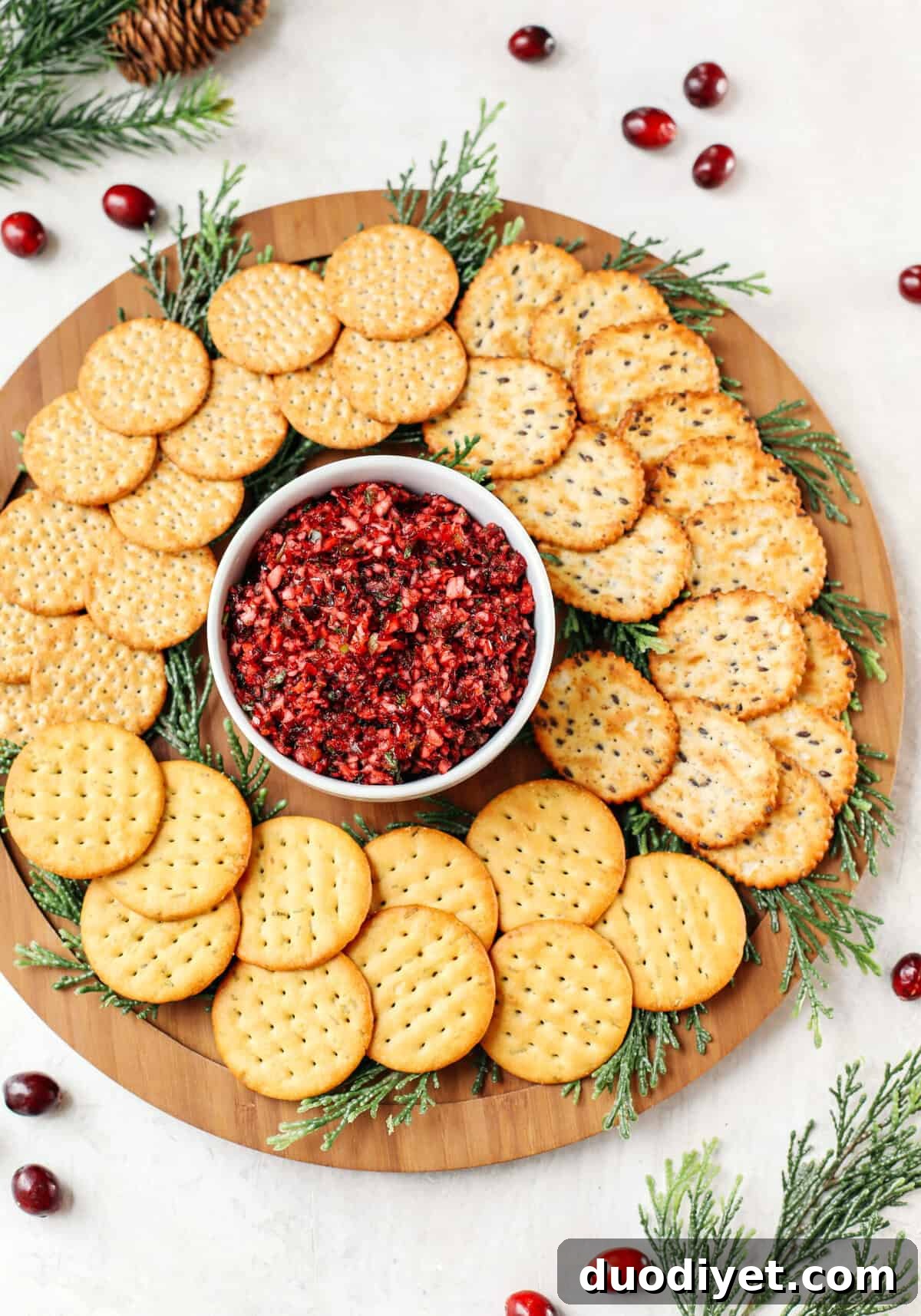 This sweet and spicy Cranberry Salsa makes the perfect holiday appetizer that is gluten-free, dairy-free, vegan and can be easily made in just minutes!