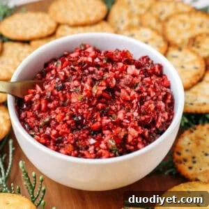 Holiday Cranberry Salsa Recipe for Parties and Appetizers 5 img 1084 5
