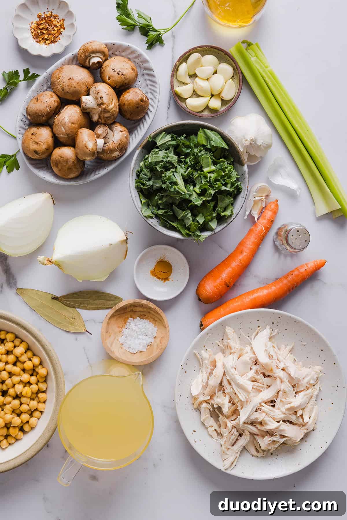 This Detox Immune-Boosting Chicken Soup is the perfect remedy for flu season filled with antioxidants that boost immunity and keep you warm all winter long!