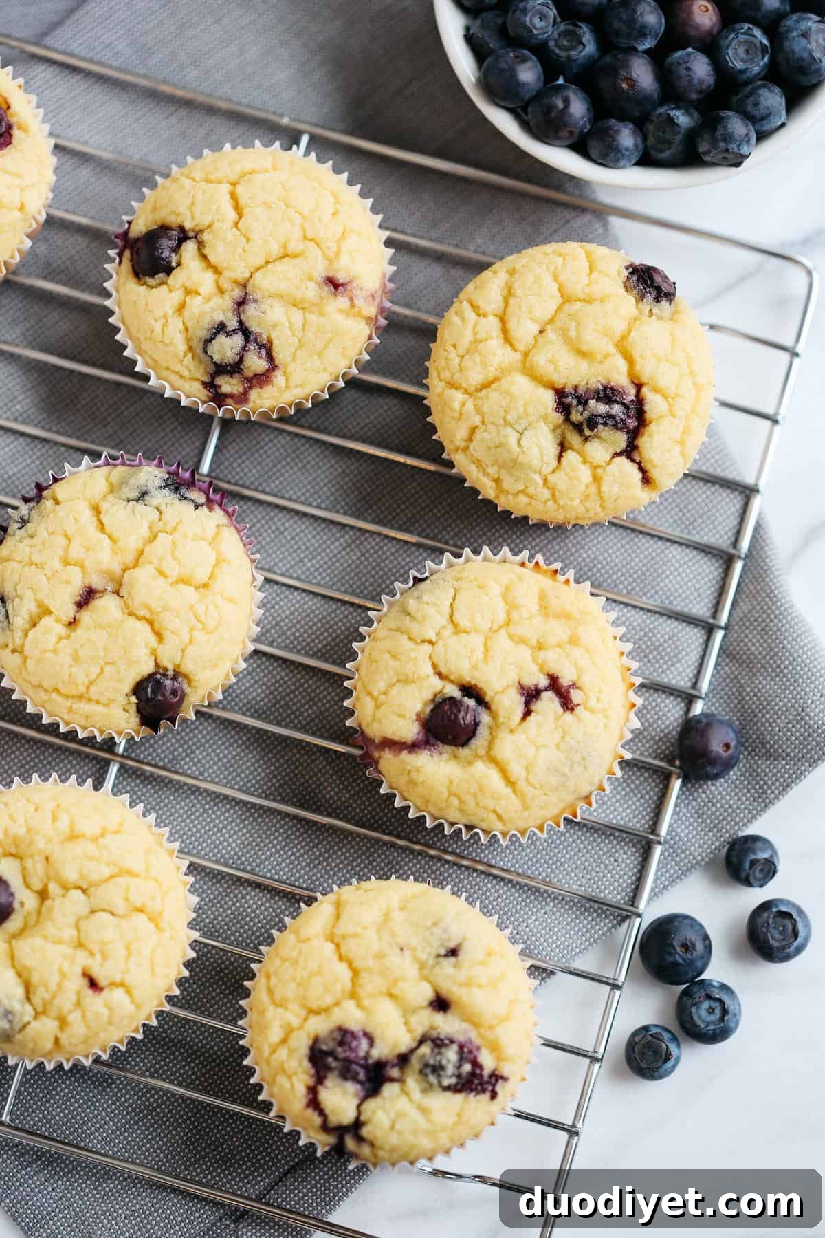 Healthy Lemon Blueberry Muffins that are moist, super fluffy and can easily be made in just minutes using your blender which makes clean up a breeze!