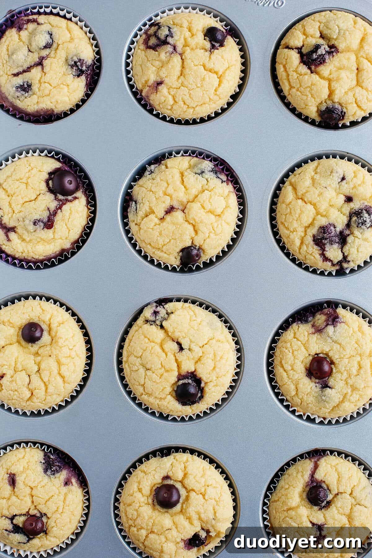 Healthy Lemon Blueberry Muffins that are moist, super fluffy and can easily be made in just minutes using your blender which makes clean up a breeze!