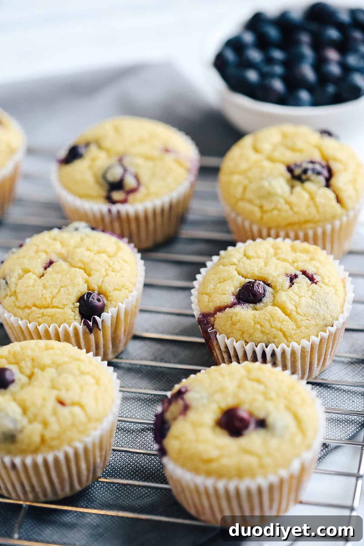 Healthy Lemon Blueberry Muffins that are moist, super fluffy and can easily be made in just minutes using your blender which makes clean up a breeze!