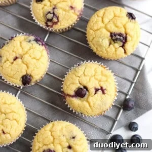 Lemon Blueberry Muffins Made in a Blender 5 Plate of lemon blueberry muffins