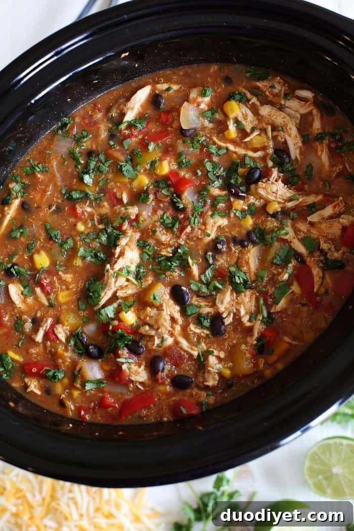 Slow cooker chicken fajita and quinoa soup in a bowl