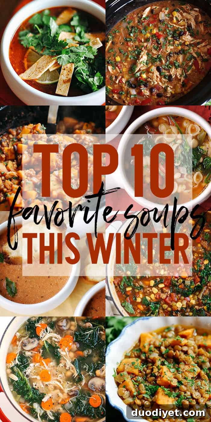 Collection of healthy soup bowls