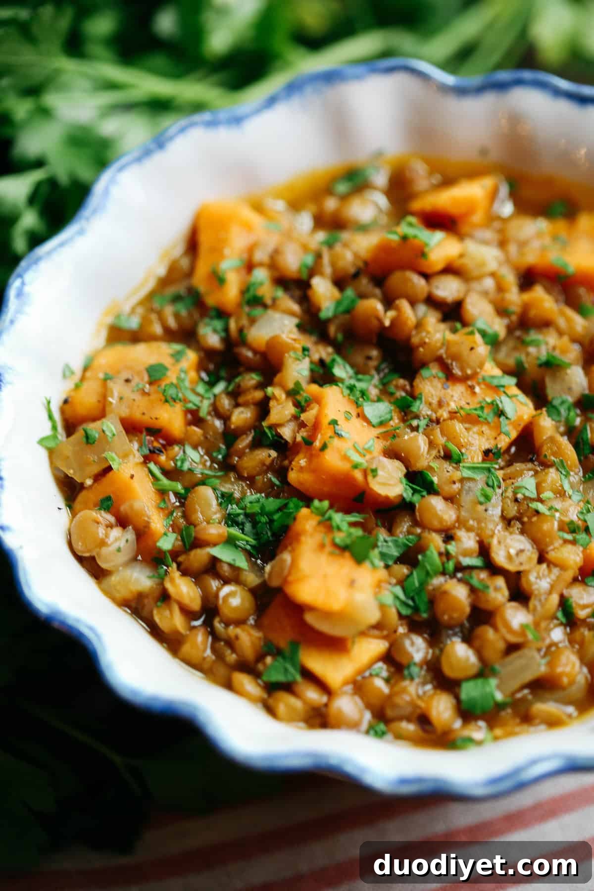 Top 10 Nourishing Soup Recipes 5 Lentil and Sweet Potato Stew - hearty, nutritious, and quick