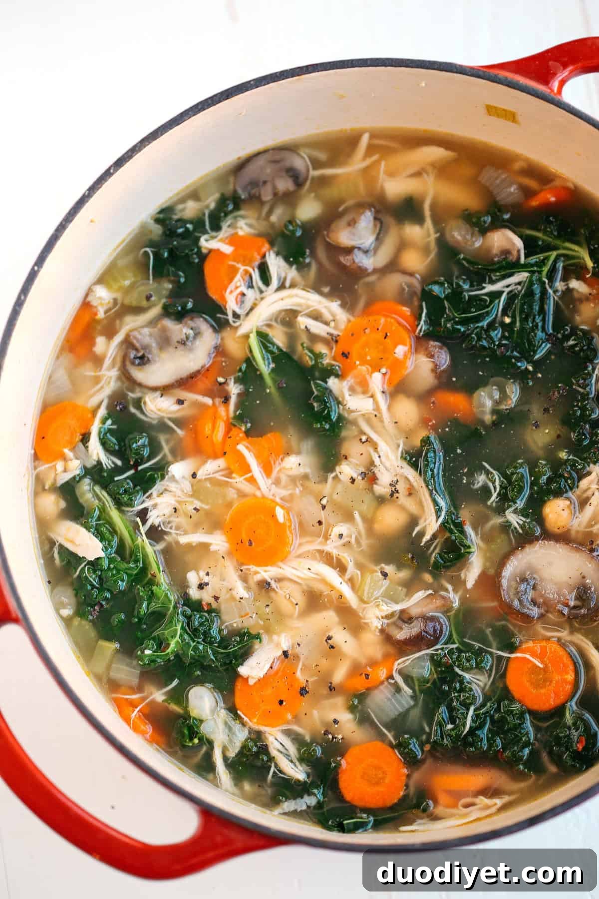 Immune-boosting chicken soup with vegetables and herbs