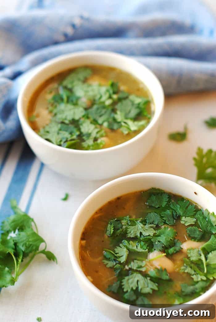 Top 10 Nourishing Soup Recipes 9 Slow Cooker Chicken and Green Chile Soup - flavorful and easy