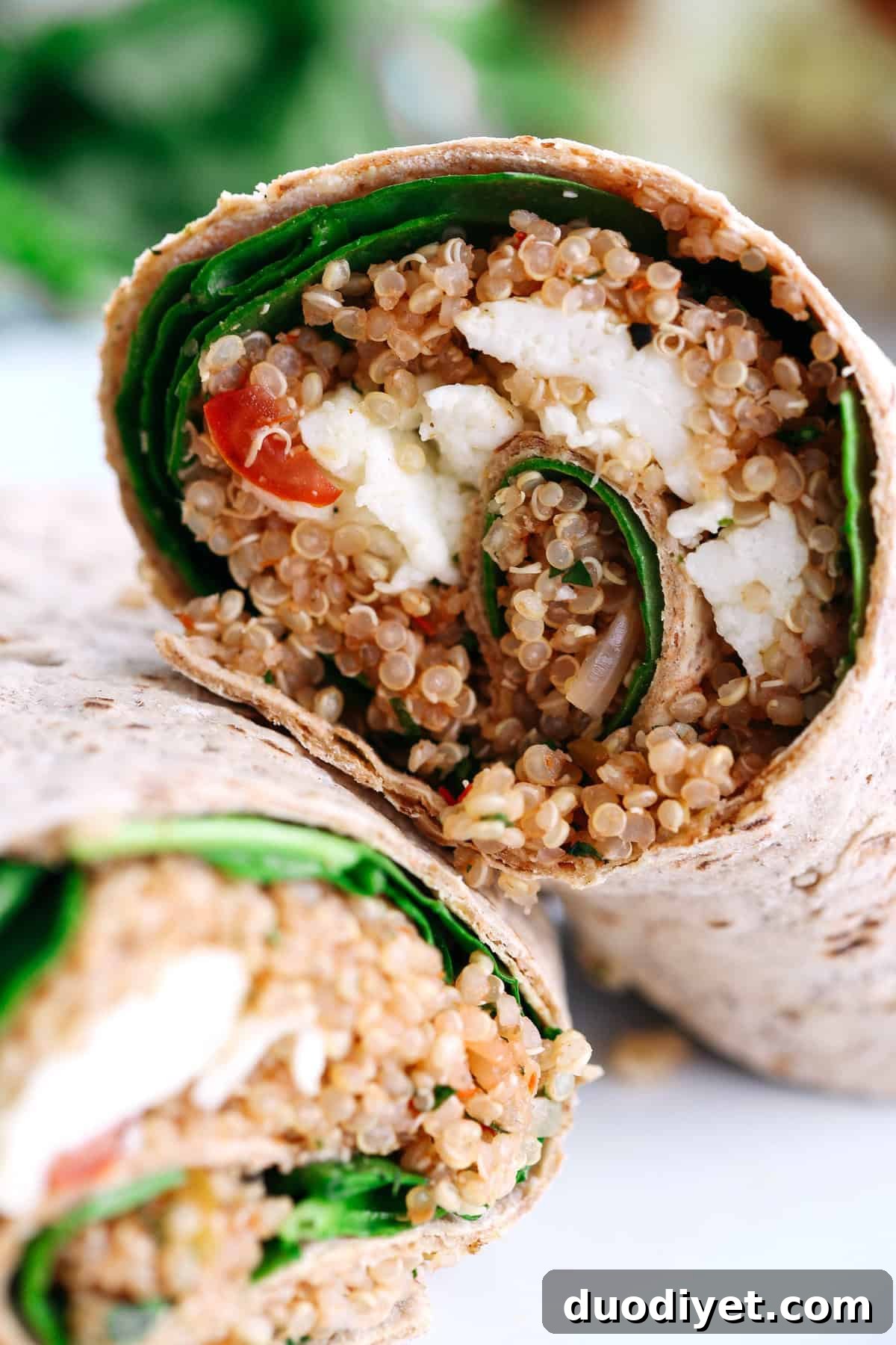 Protein-Packed Quinoa and Egg White Breakfast Wrap Recipe 2 These Quinoa Egg White Wraps are super easy to make, are packed with tons of protein and taste super flavorful! They're also perfect to grab on-the-go!