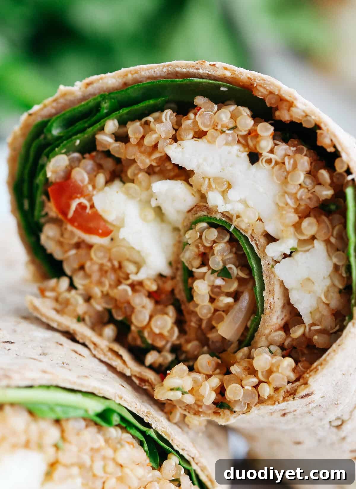 Protein-Packed Quinoa and Egg White Breakfast Wrap Recipe 5 These Quinoa Egg White Wraps are super easy to make, are packed with tons of protein and taste super flavorful! They're also perfect to grab on-the-go!