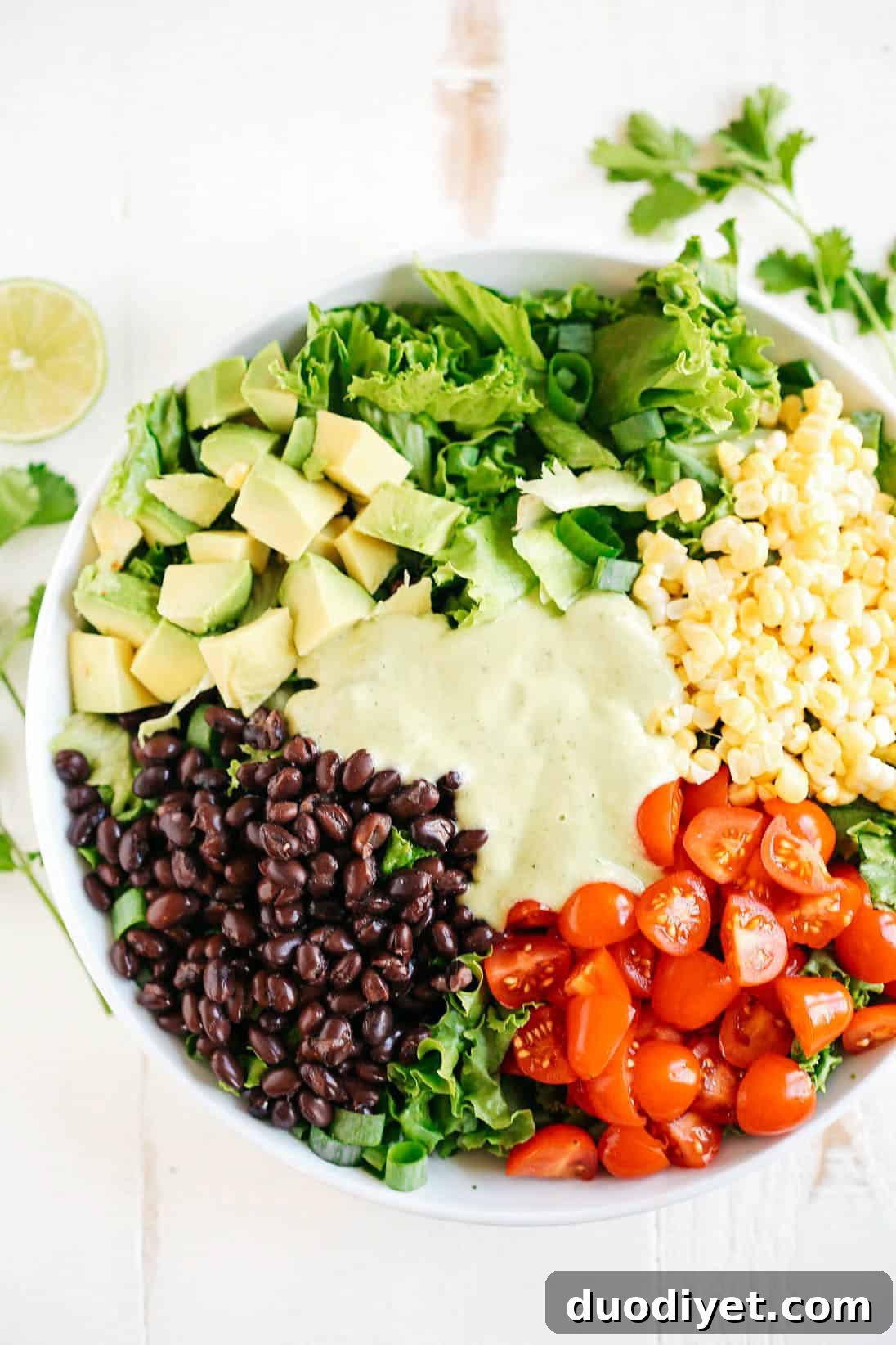 These are 6 of my favorite go-to light and healthy salads that are full of fresh veggies, delicious proteins and TONS of flavor!