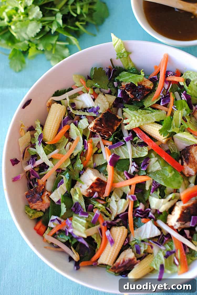 6 Nutritious Salad Recipes You Will Love 6 These are 6 of my favorite go-to light and healthy salads that are full of fresh veggies, delicious proteins and TONS of flavor!