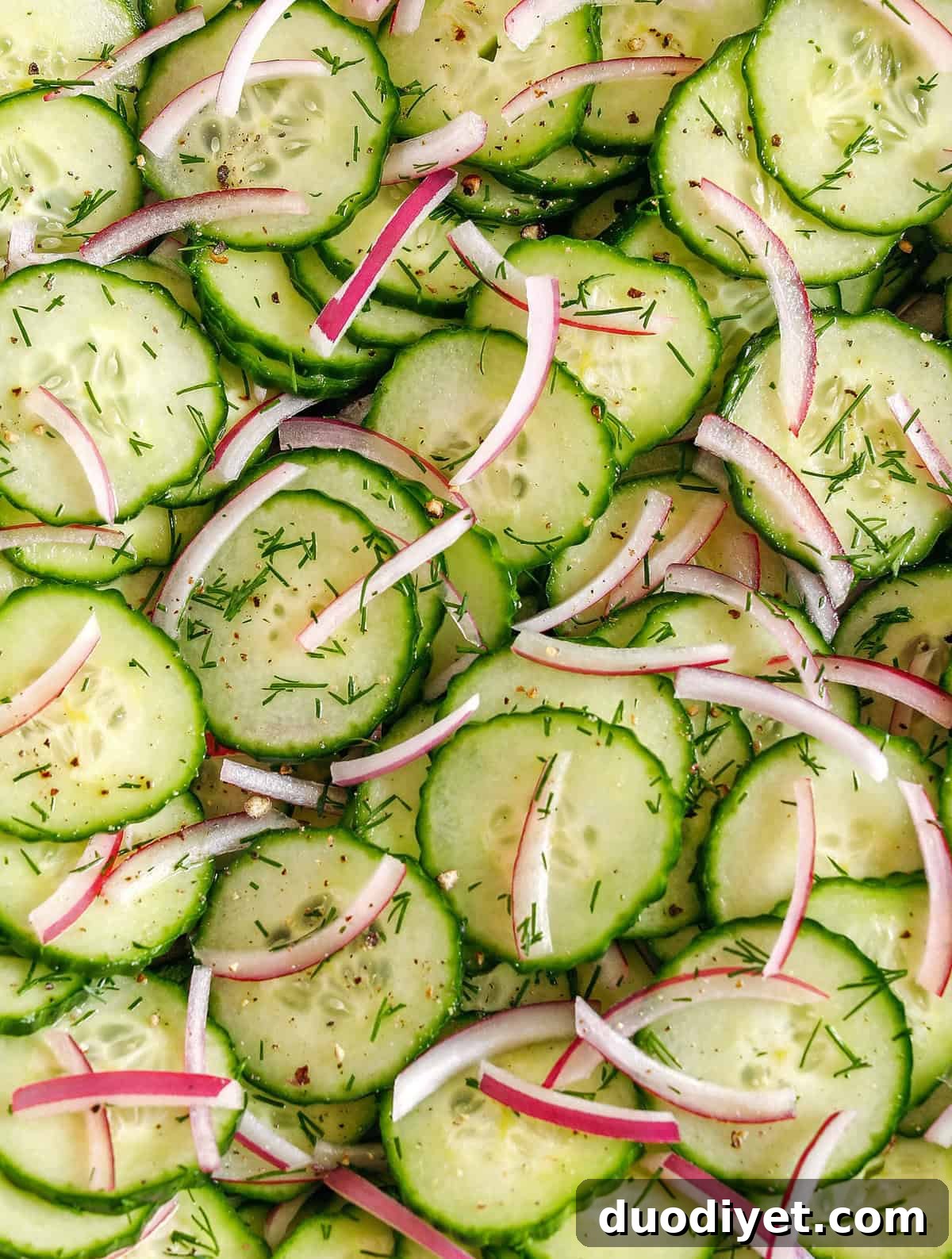 Quick and Easy Sweet Cucumber Salad made with crisp cucumbers, slices of red onion and fresh dill all tossed in a tangy vinaigrette that comes together in less than 10 minutes! Perfect summer side dish that is light and refreshing!