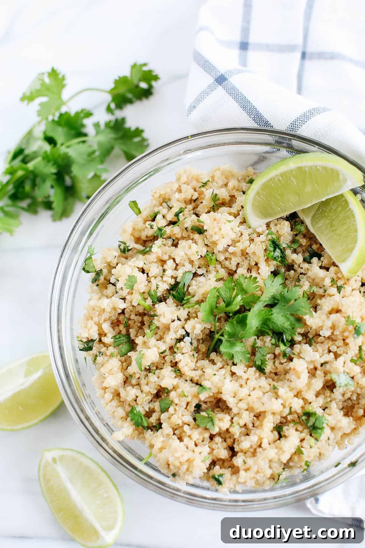 This Coconut Lime Cilantro Quinoa is easily made with just a few simple ingredients and makes the perfect healthy side dish to any meal!