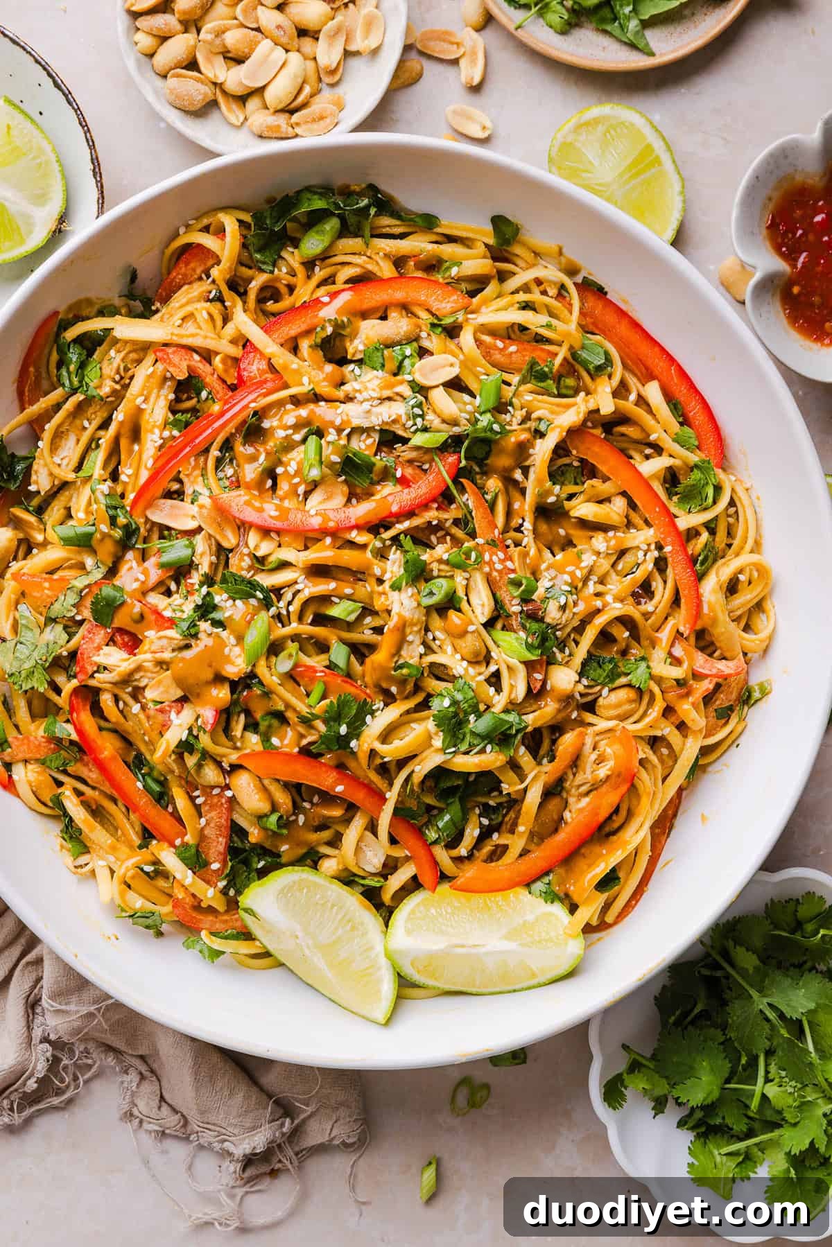 These Saucy Peanut Noodles are loaded with shredded chicken, bell pepper, green onions, crunchy peanuts and fresh herbs all tossed together in a delicious peanut sauce! Great for a weeknight dinner or meal prep lunch made in just 20 minutes!