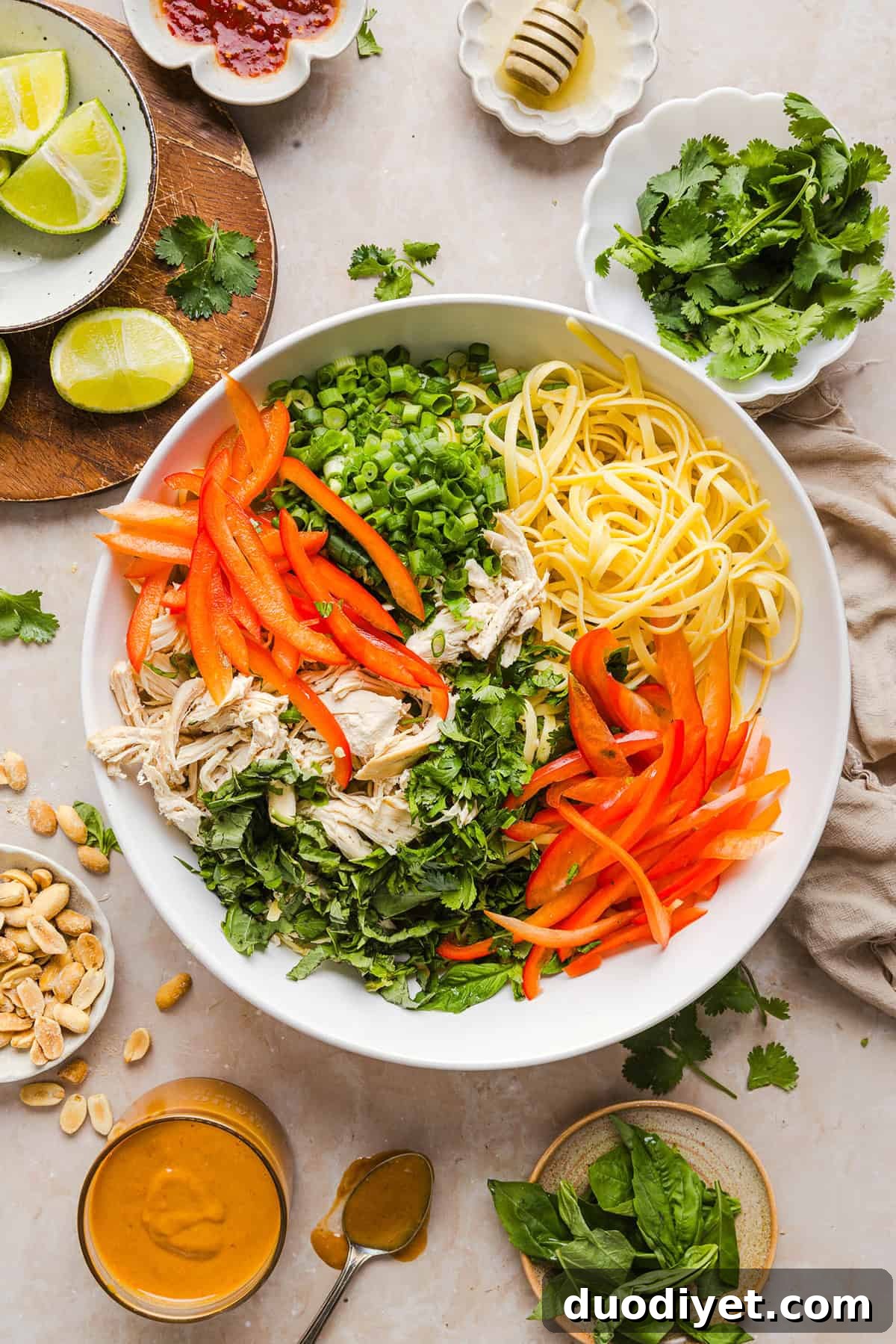 These Saucy Peanut Noodles are loaded with shredded chicken, bell pepper, green onions, crunchy peanuts and fresh herbs all tossed together in a delicious peanut sauce! Great for a weeknight dinner or meal prep lunch made in just 20 minutes!