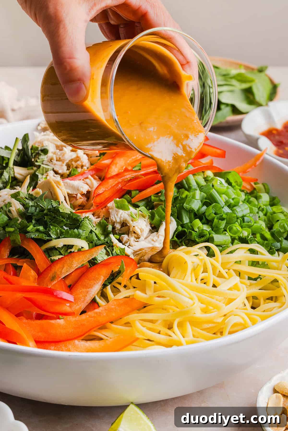 These Saucy Peanut Noodles are loaded with shredded chicken, bell pepper, green onions, crunchy peanuts and fresh herbs all tossed together in a delicious peanut sauce! Great for a weeknight dinner or meal prep lunch made in just 20 minutes!