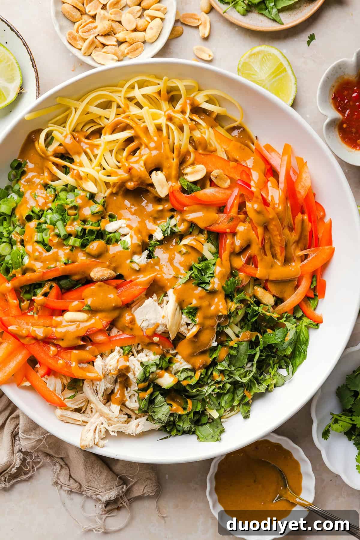 Finished saucy peanut noodles plated with herbs and peanuts