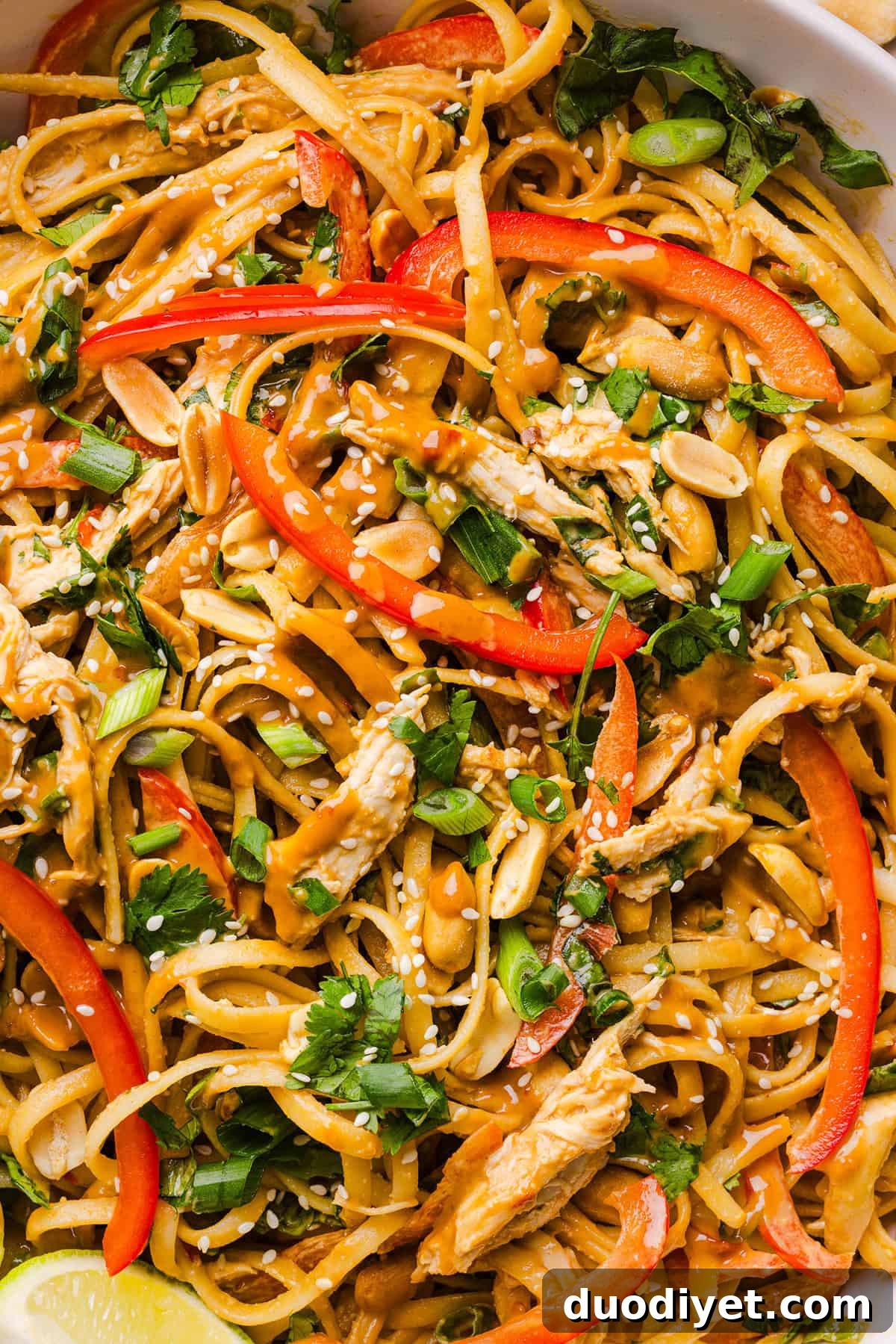 Peanut noodles in a bowl with lime and herbs