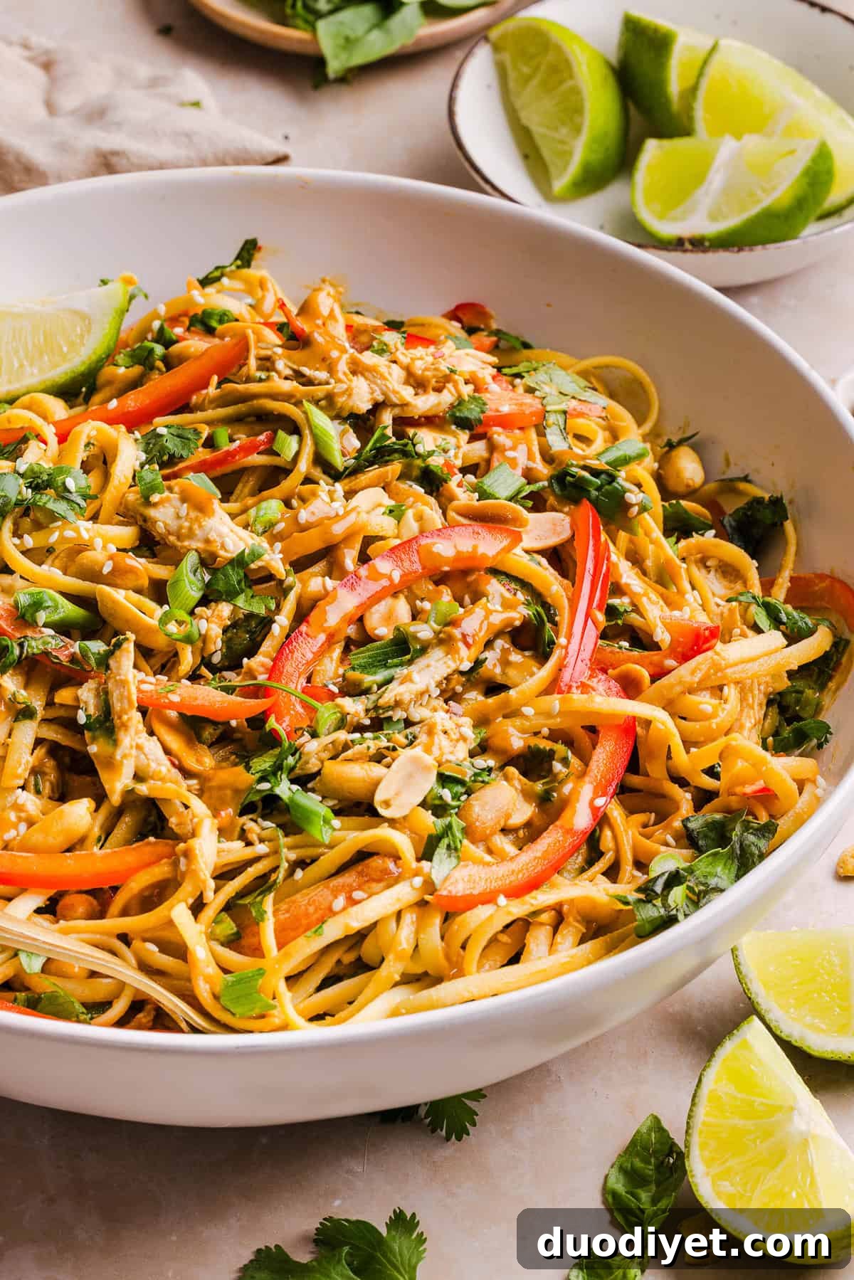 These Saucy Peanut Noodles are loaded with shredded chicken, bell pepper, green onions, crunchy peanuts and fresh herbs all tossed together in a delicious peanut sauce! Great for a weeknight dinner or meal prep lunch made in just 20 minutes!