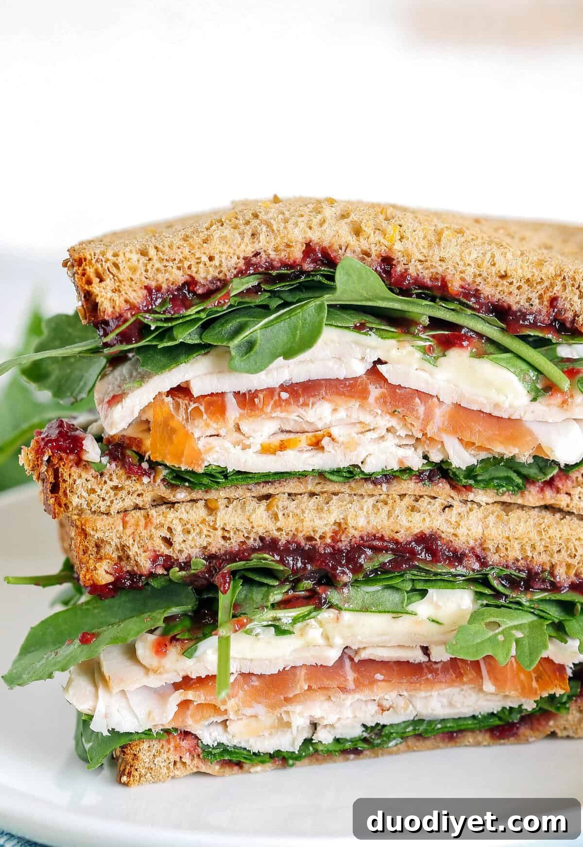 Grilled leftover turkey sandwich with melted brie and cranberry