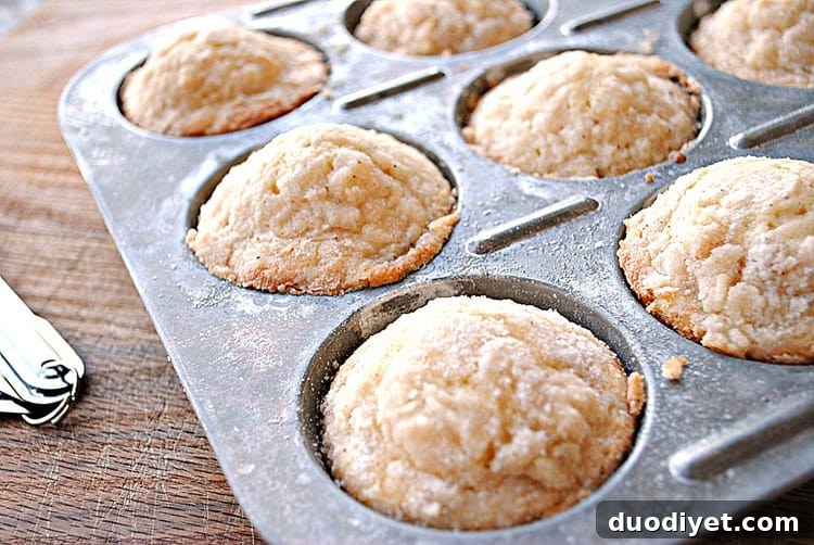 Holiday Spiced Eggnog Muffins with Nutmeg and Cinnamon 4 Muffins on a rack