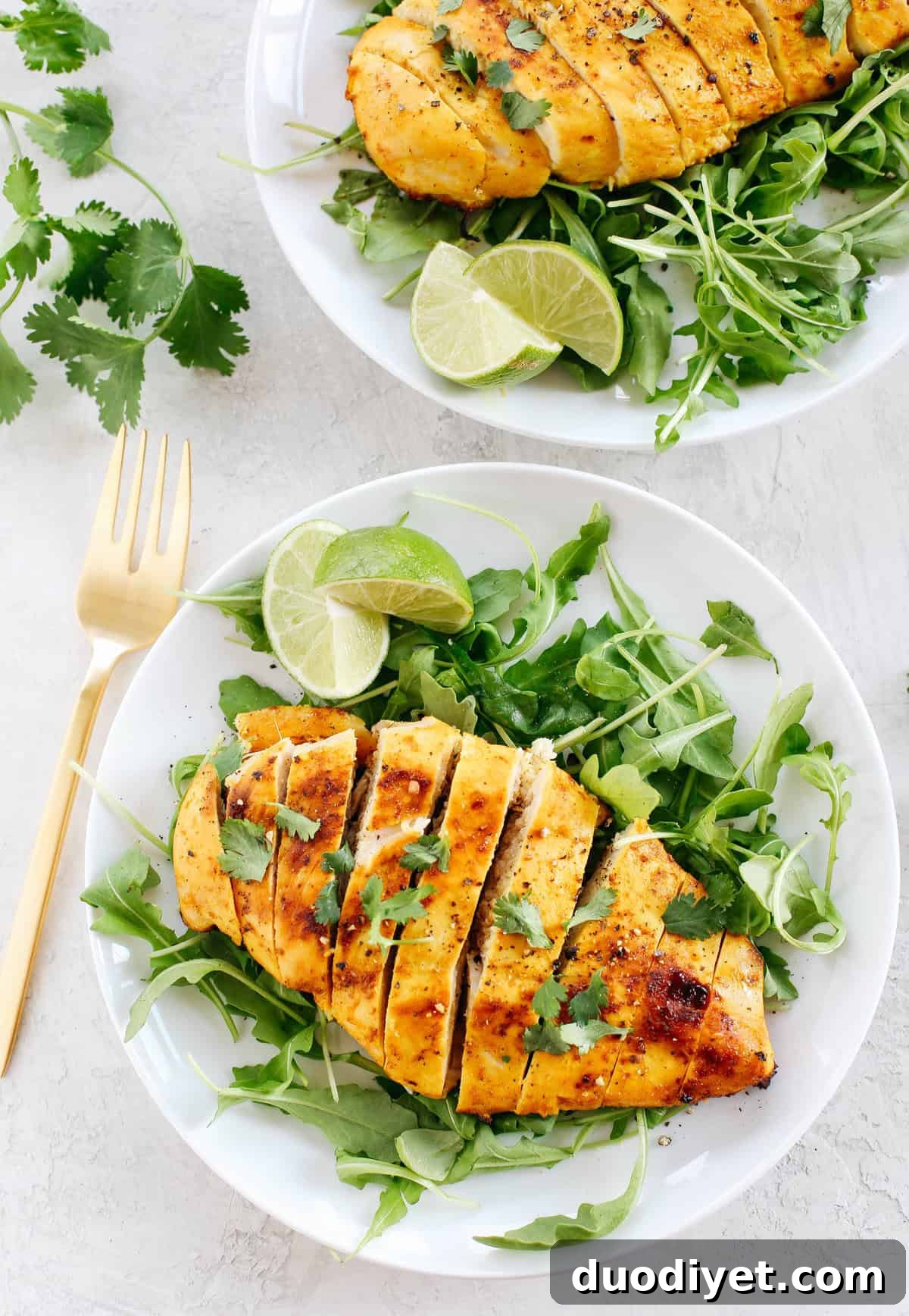 Turmeric and Ginger Grilled Chicken Recipe 3 Turmeric Ginger Grilled Chicken plated