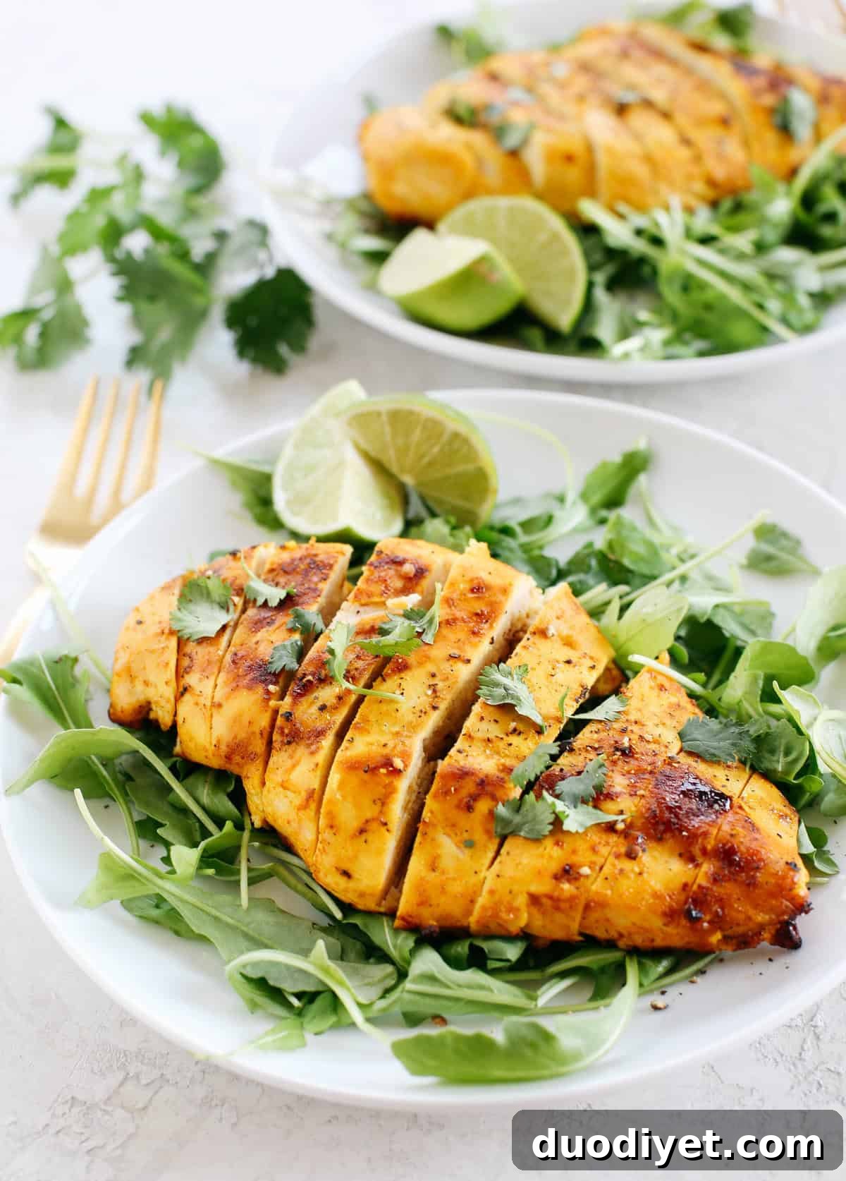 Sliced Turmeric Ginger Grilled Chicken